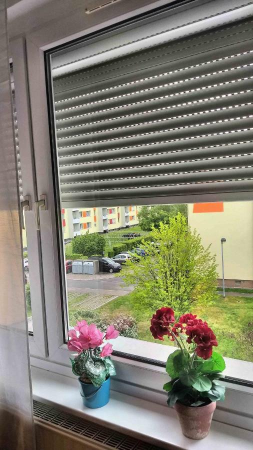 Komfort Ferienwohnungen Zwenkauer See Extérieur photo